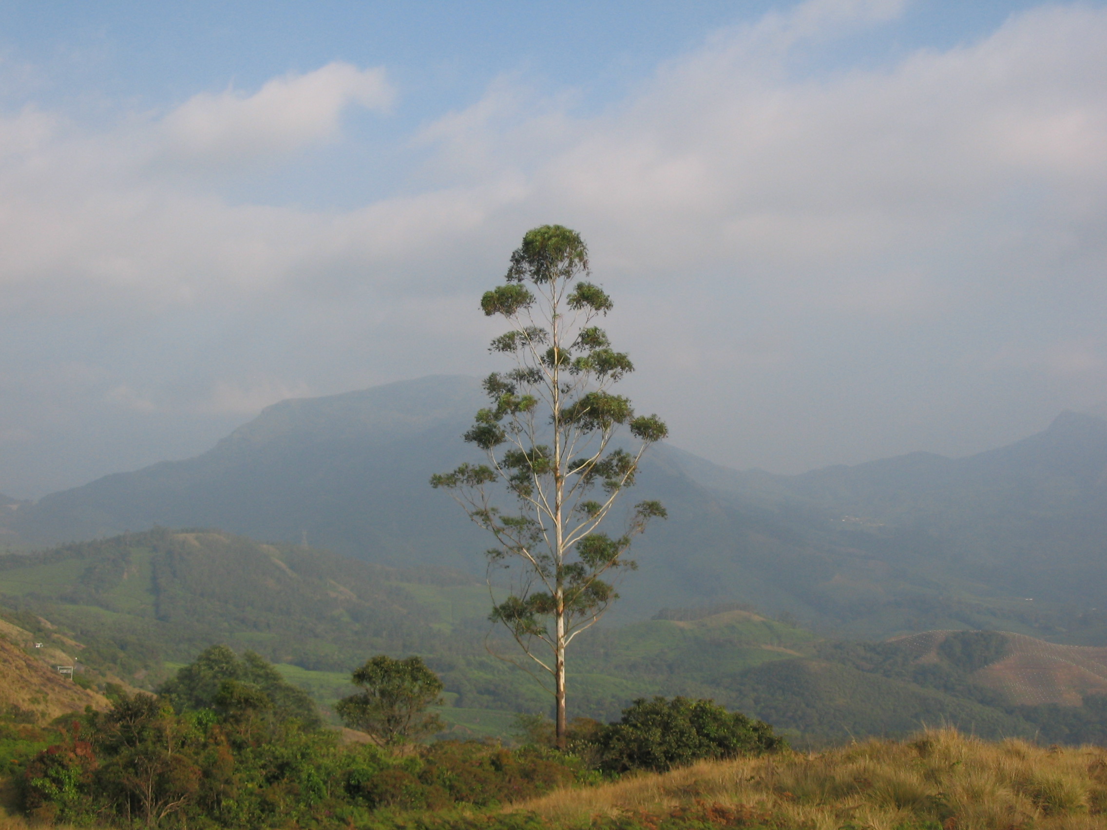 Pročitajte više o članku Početak izvannastavne aktivnosti Retorika